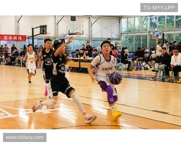 全国锦标赛回顾：西安篮球队默契配合展现团队实力与战术智慧