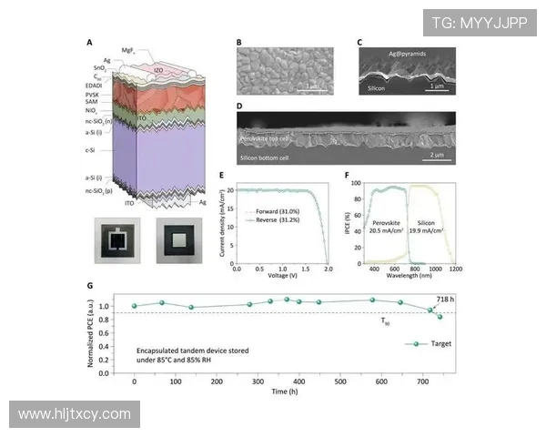 南京乒乓球队战术解析：构建高效控制体系的成功之道