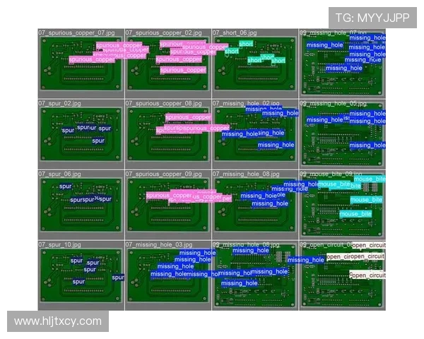 广州乒乓球队的速度探讨与训练策略分析