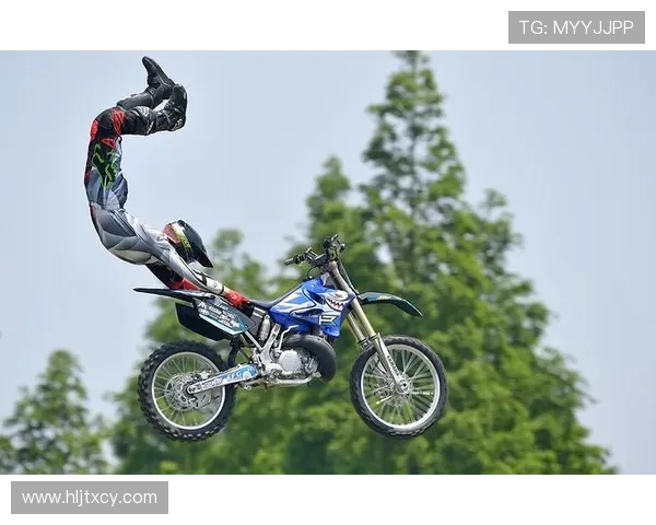 深入分析上海极限运动队的区域防守战术及其在比赛中的应用效果