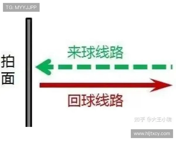 科学羽毛球速度训练全攻略提升你的反应与击球速度