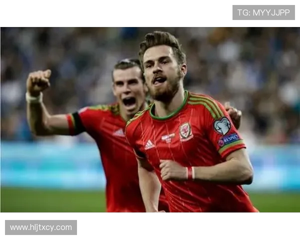 天狼星与哈马比球友的激情对决展现足球魅力与团队精神