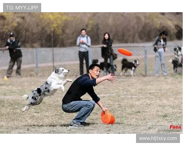 飞盘战术解析：深入探讨北京飞盘队的区域防守策略与实践