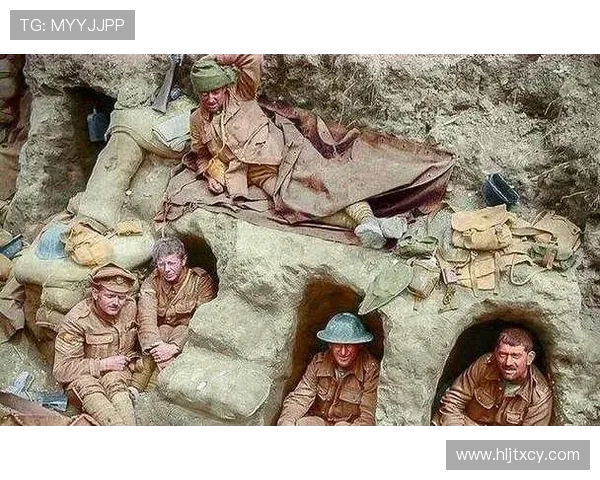 南京排球队的阵地战打法深度分析与战术解析