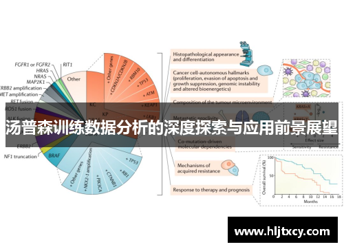 汤普森训练数据分析的深度探索与应用前景展望