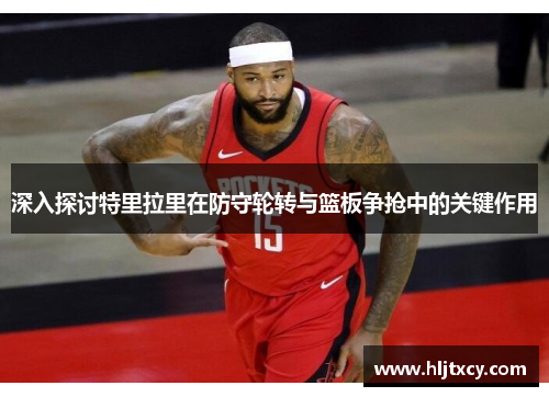 深入探讨特里拉里在防守轮转与篮板争抢中的关键作用