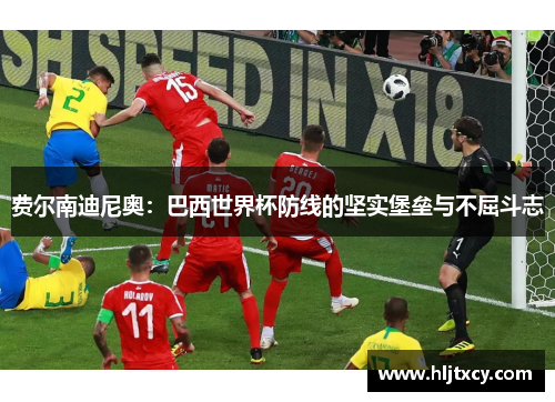 费尔南迪尼奥：巴西世界杯防线的坚实堡垒与不屈斗志